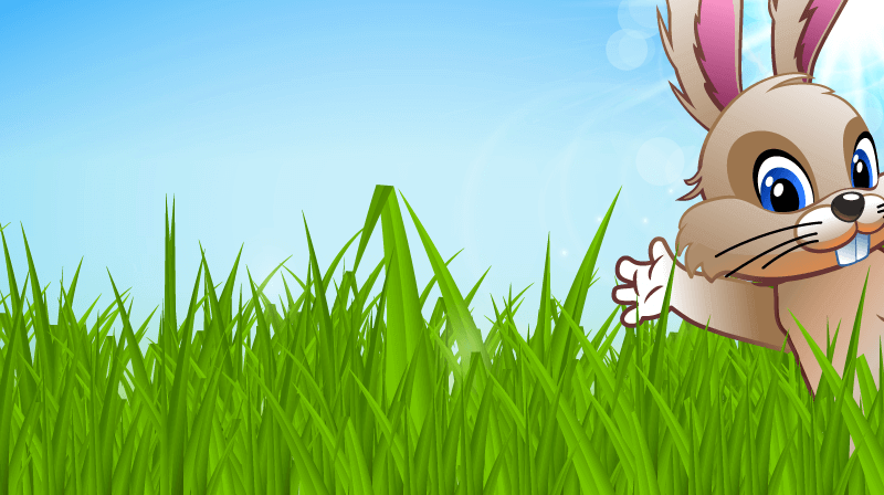 say hi to the cute bunny