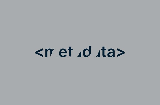 the word metadata in html tags partly conceiled by empty space