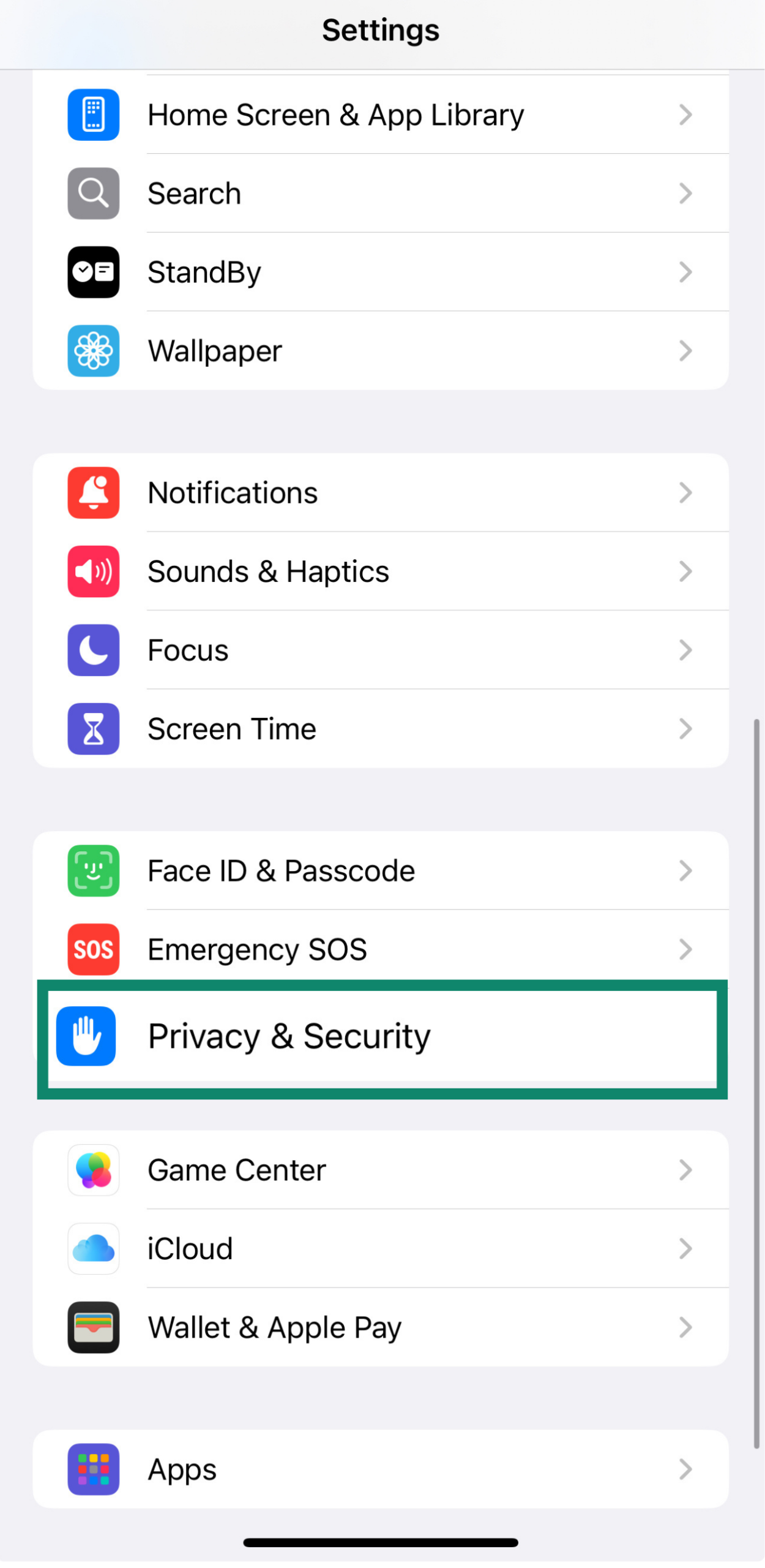 iPhone Settings screen with Privacy & Security highlighted