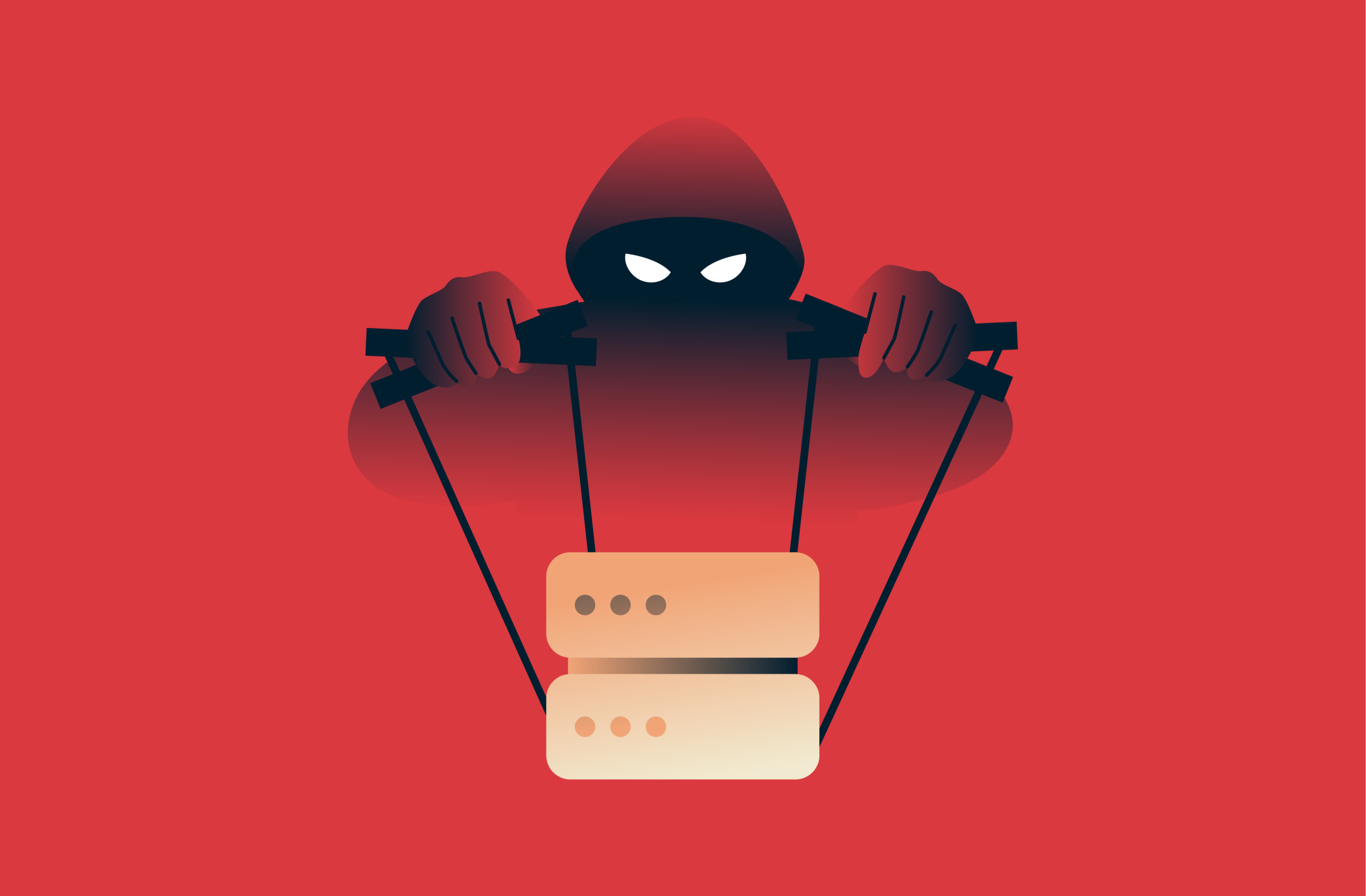 illustration_dns hijacking (1)