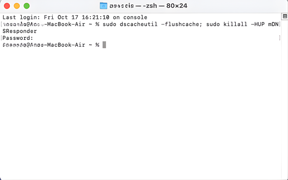 macOS Terminal windows showing how to flush cache with the command sudo dscacheutil -flushcache; sudo killall -HUP mDNSResponder
