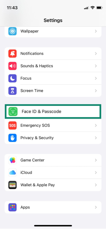 The Face ID & Passcode settings on an iPhone.