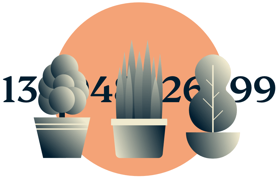 IP 주소 숨기기: IP 주소를 숨기는 화분