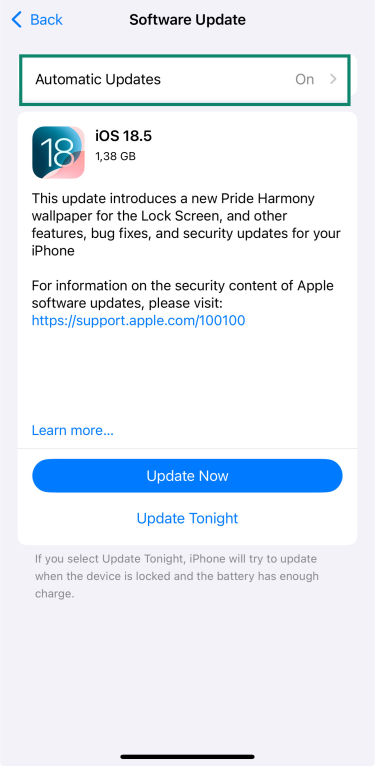 iPhone Software Update screen with Automatic Updates option highlighted