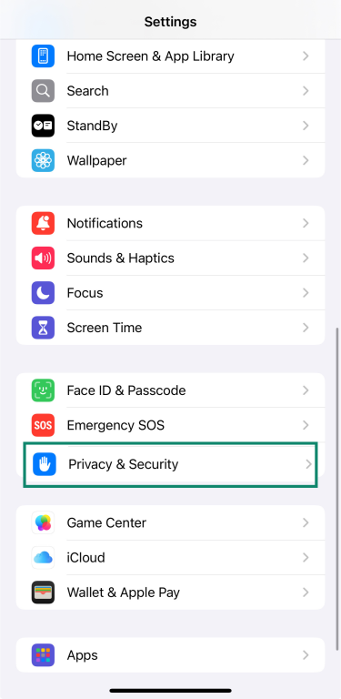 iPhone Settings screen showing the Privacy & Security option.