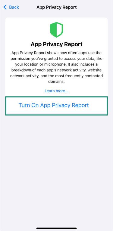 iPhone screen showing the option to turn on App Privacy Report in Settings.