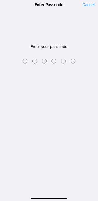 Enter iPhone passcode screen for security setup