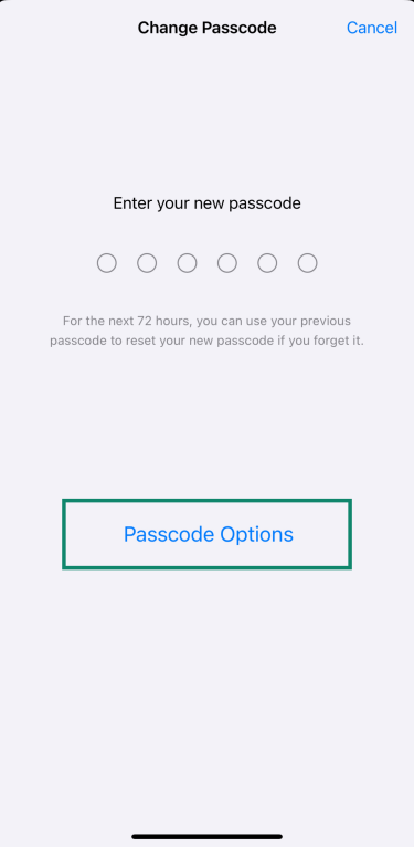 iPhone screen showing Passcode Options during new passcode setup