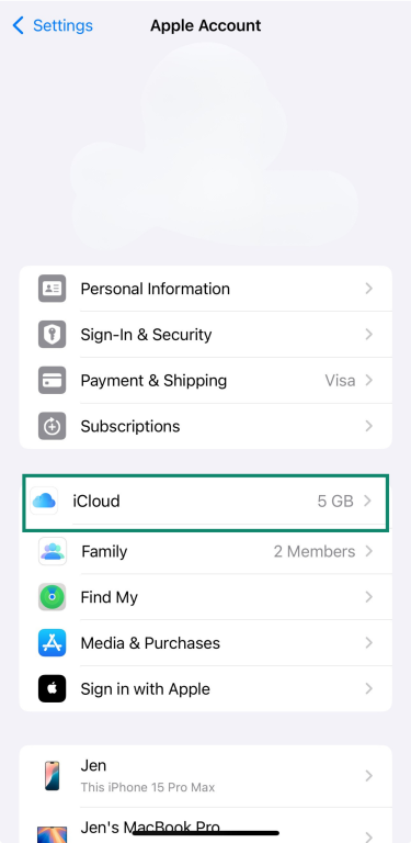 iPhone Settings showing Apple ID screen with iCloud option highlighted
