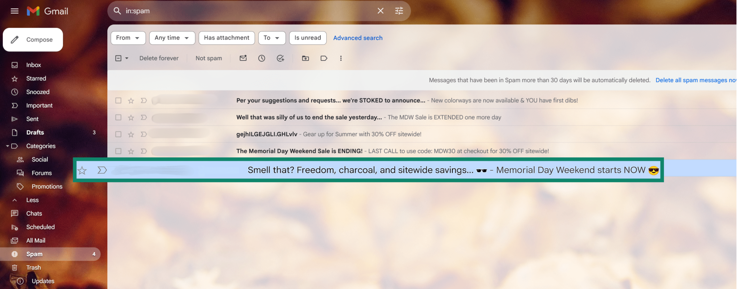 Gmail spam folder with a highlighted email.